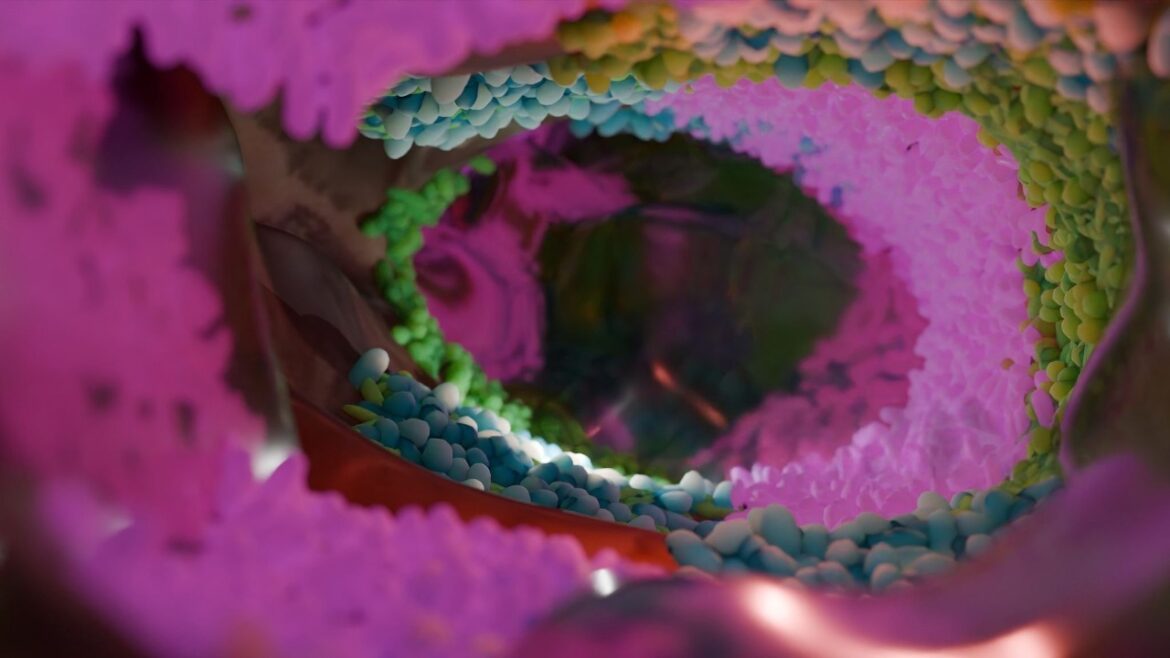 Gut Health and the Microbiome