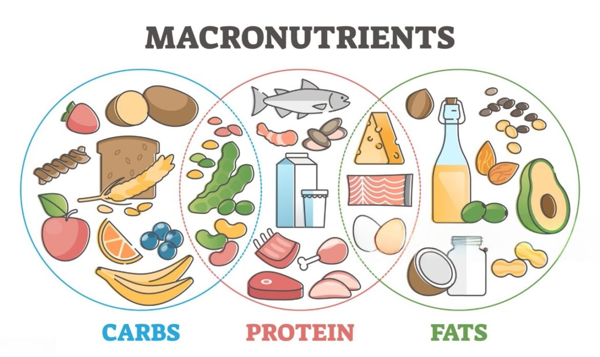 Macronutrients