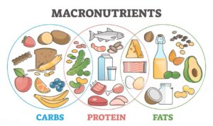 Understanding Macronutrients: Carbs, Protein, and Fat Explained